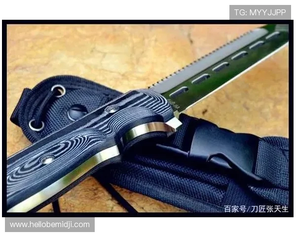 巴尔科拉仅靠速度?终结与战术角色解析 巴尔科拉仅靠速度?终结与战术角色解析